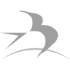 Banyule logo